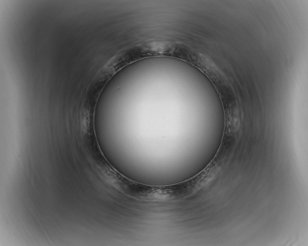 X0000116290656200912071212