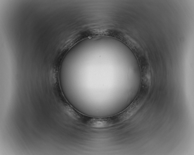 X0000116290658200912071212