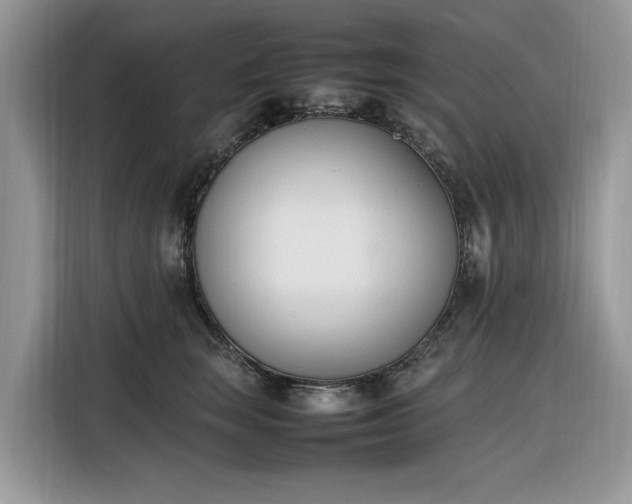 X0000116290663200912071212