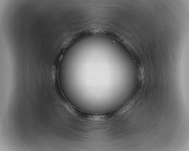 X0000116290664200912071212