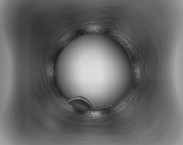 X0000116290665200912071212