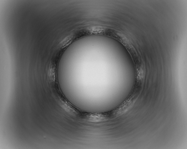 X0000116290666200912071212