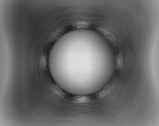 X0000116290667200912071212