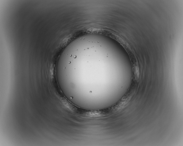 X0000116290668200912071212