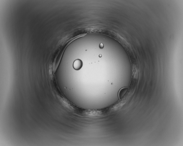 X0000116290670200912071212