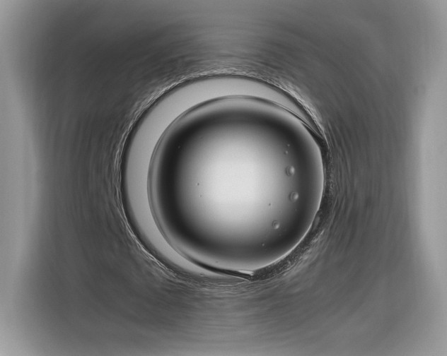 X0000116290673200912071211