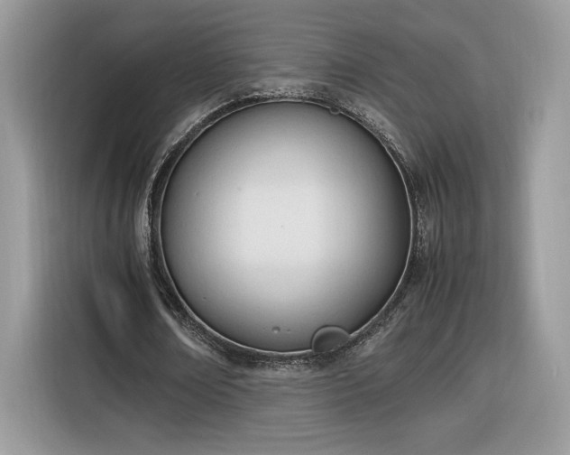 X0000116290674200912071211