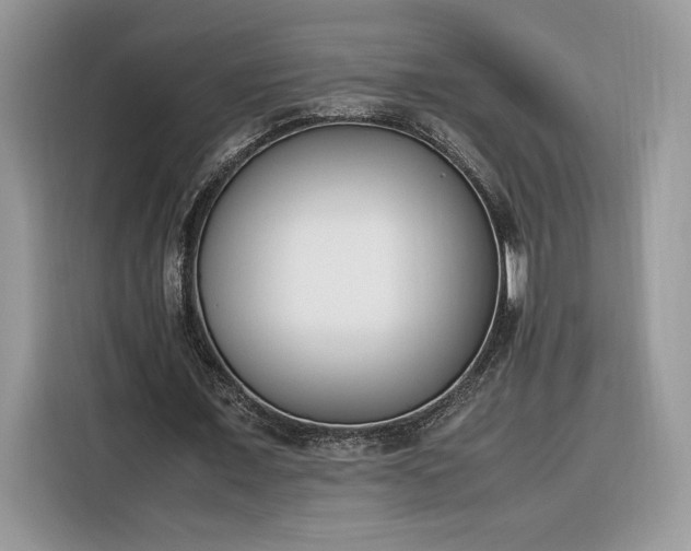 X0000116290675200912071211