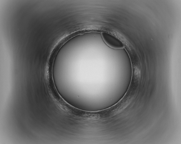 X0000116290676200912071211