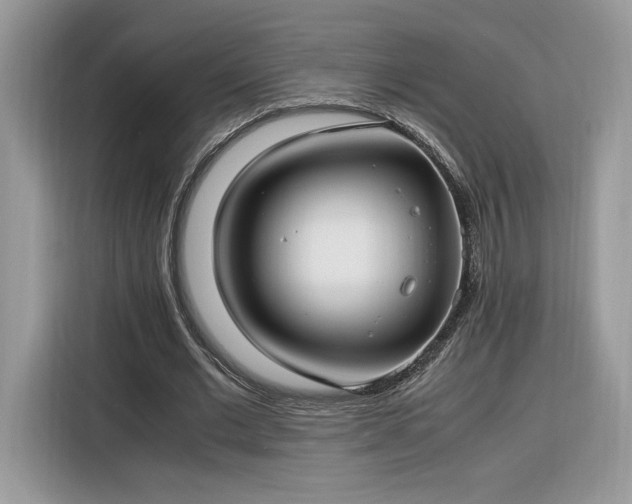 X0000116290677200912071211