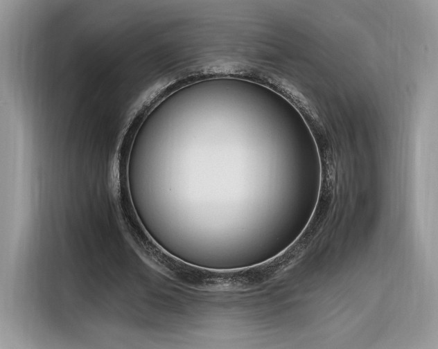 X0000116290678200912071211