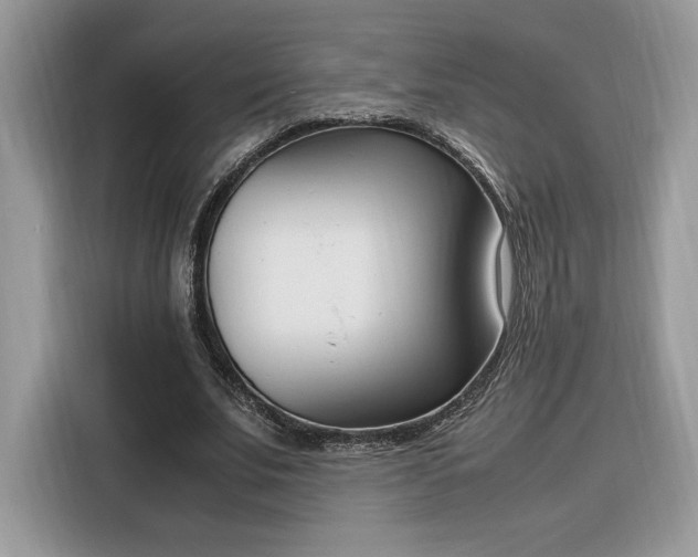 X0000116290679200912071211