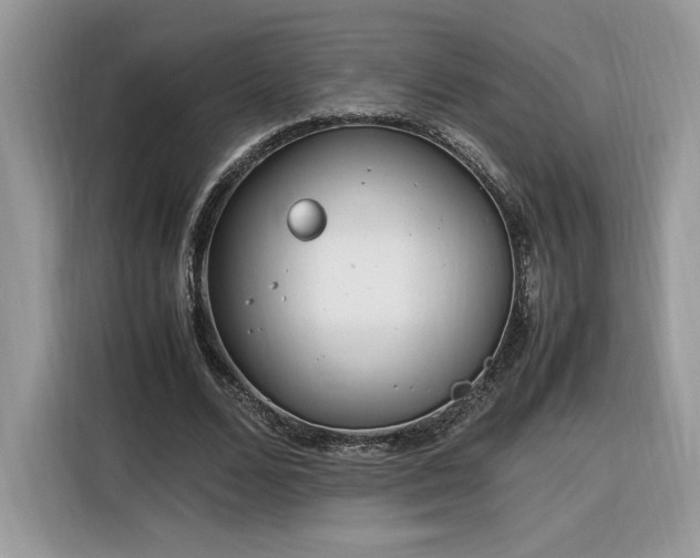 X0000116290680200912071211