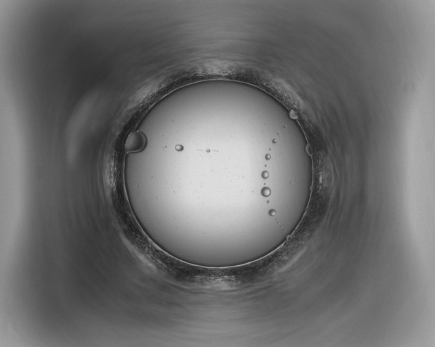 X0000116290683200912071211