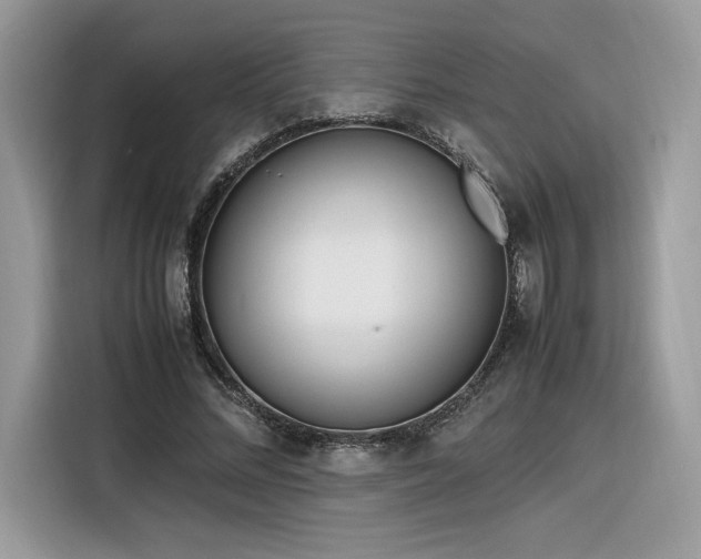 X0000116290684200912071211