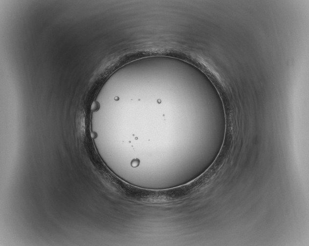 X0000116290685200912071211