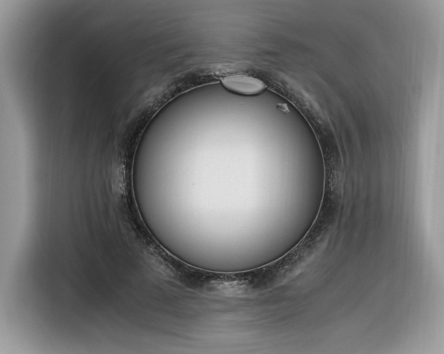 X0000116290689200912071211