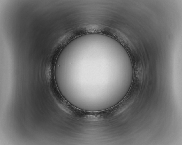 X0000116290690200912071211