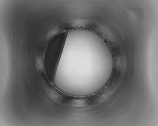 X0000116290692200912071211