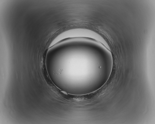 X0000116290693200912071211