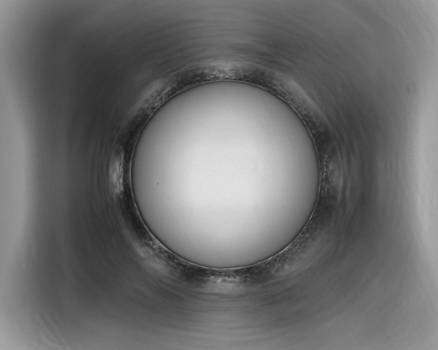 X0000116290694200912071211