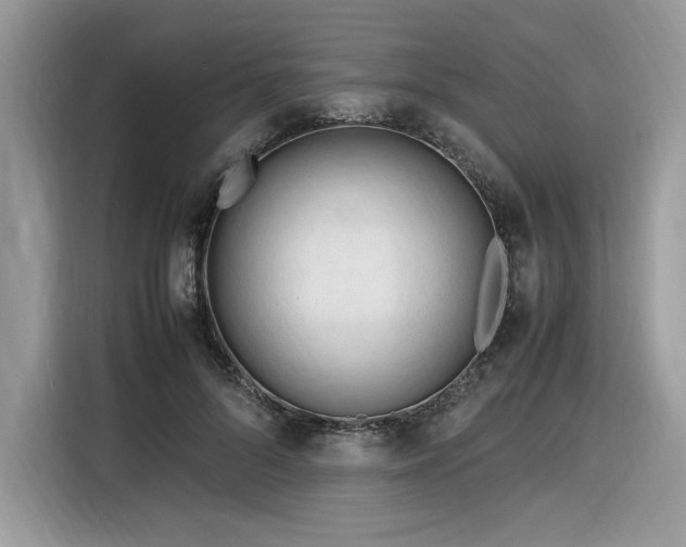 X0000116290696200912071211