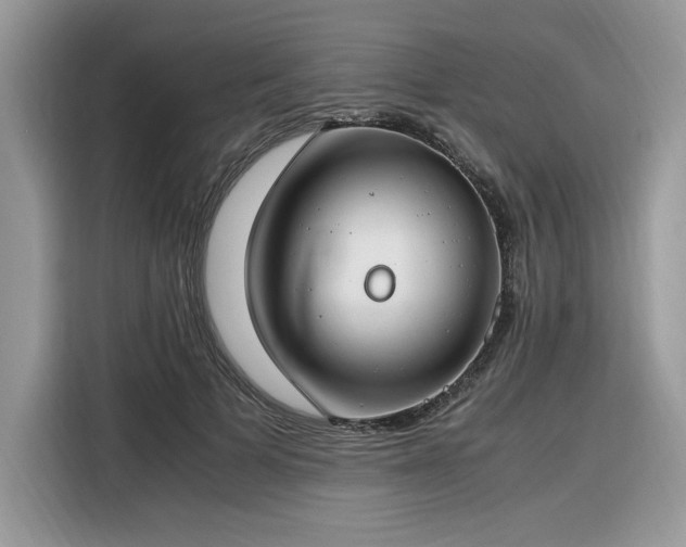 X0000116290697200912071211