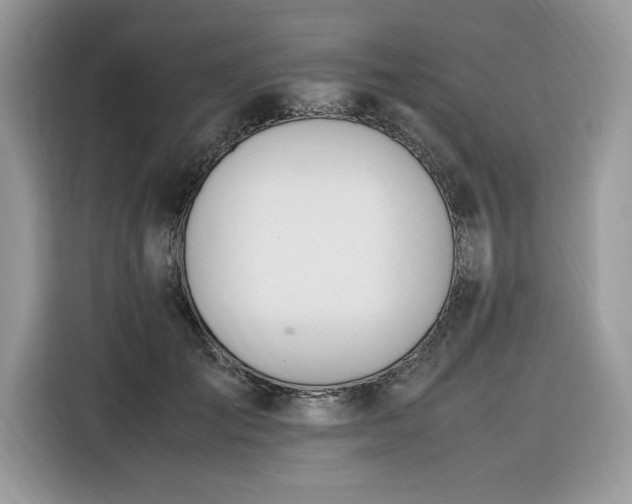 X0000116290701200912071211