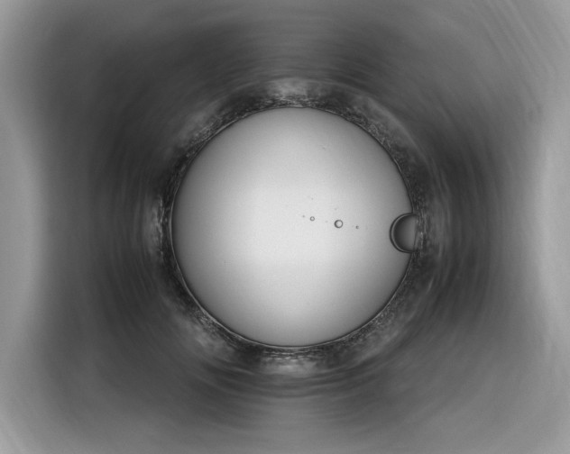 X0000116290702200912071211