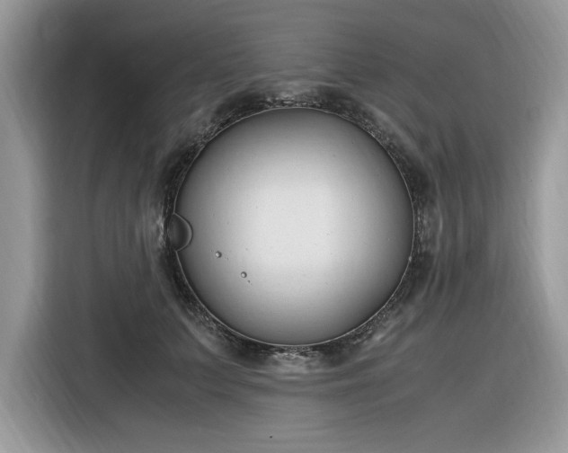 X0000116290703200912071211