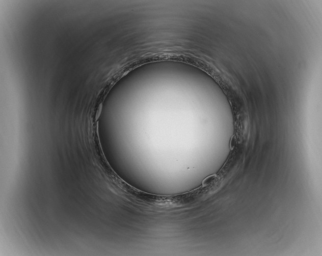 X0000116290704200912071211