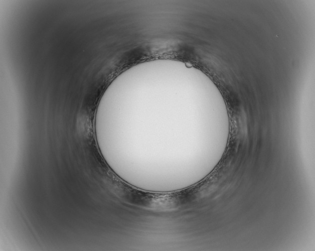 X0000116290705200912071211