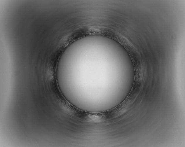 X0000116290706200912071211