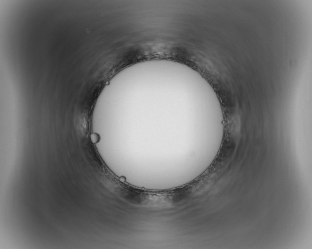 X0000116290709200912071211