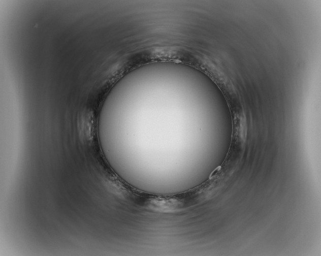 X0000116290712200912071211