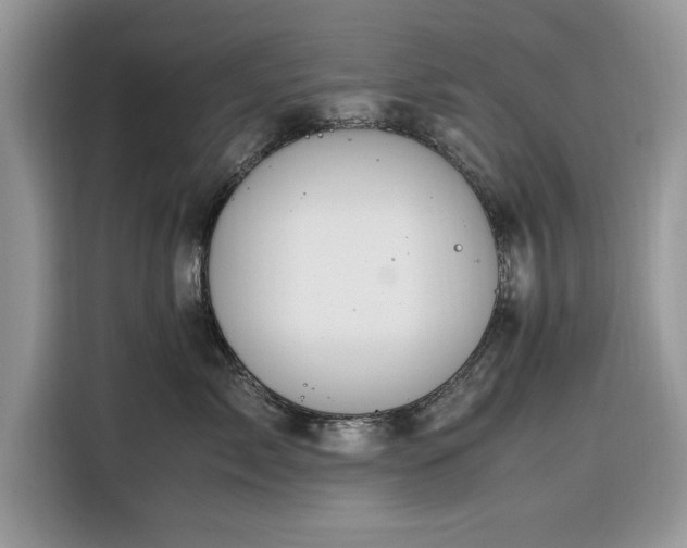 X0000116290717200912071211