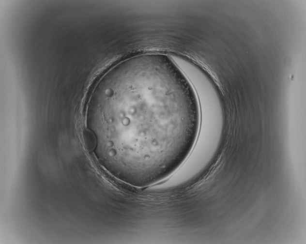 X0000116290721200912071210