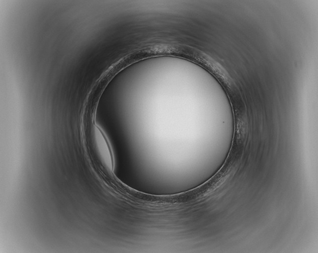 X0000116290722200912071210