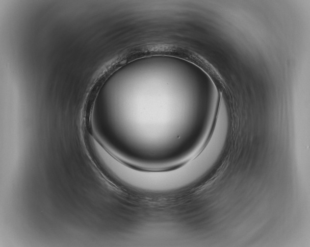 X0000116290725200912071210