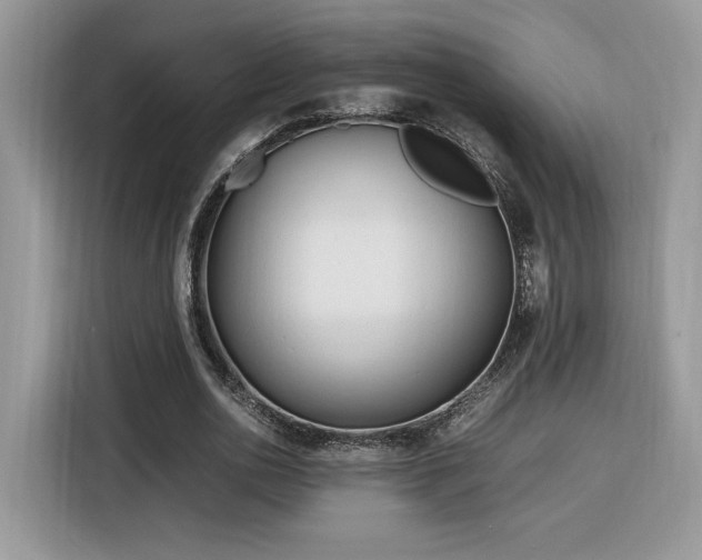 X0000116290726200912071210