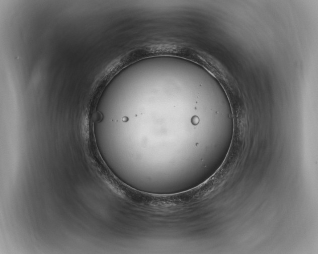 X0000116290729200912071210