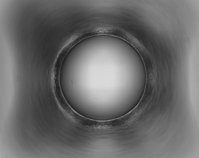 X0000116290730200912071210