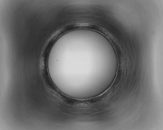 X0000116290731200912071210