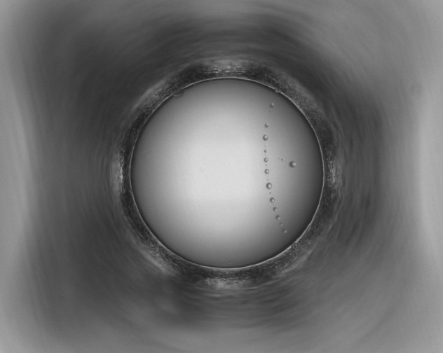 X0000116290733200912071210