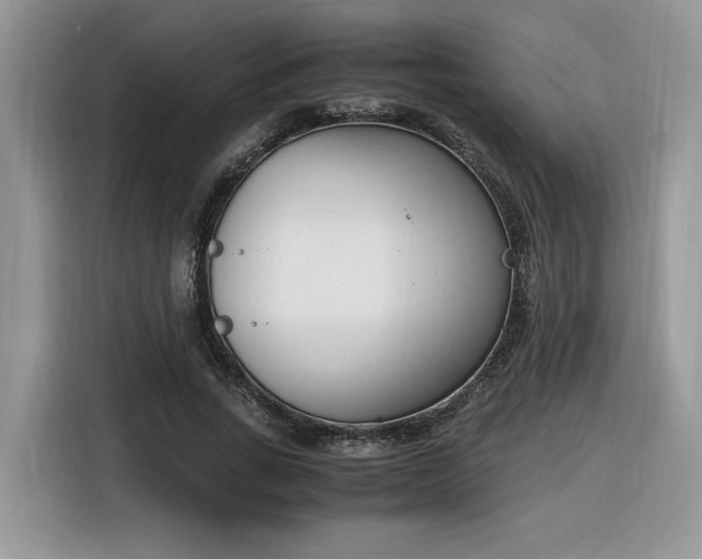 X0000116290735200912071210