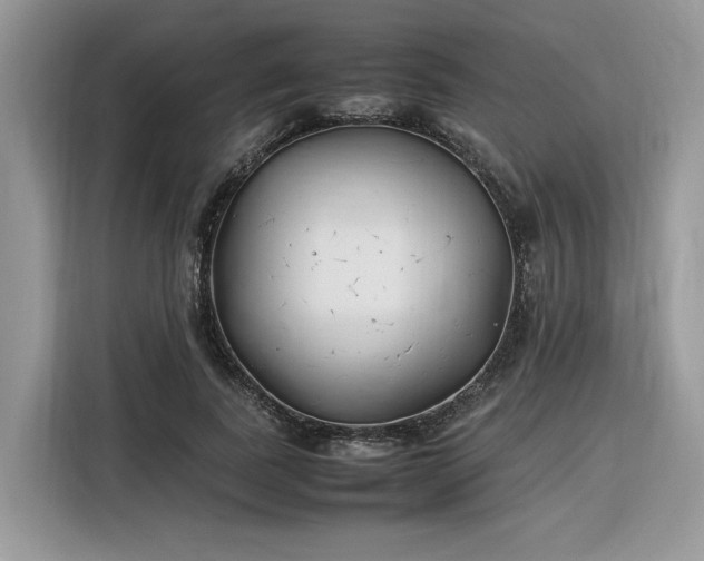 X0000116290739200912071210