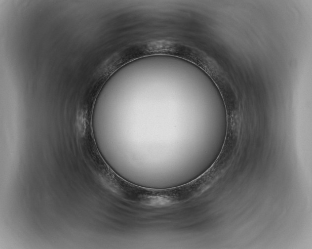 X0000116290741200912071210