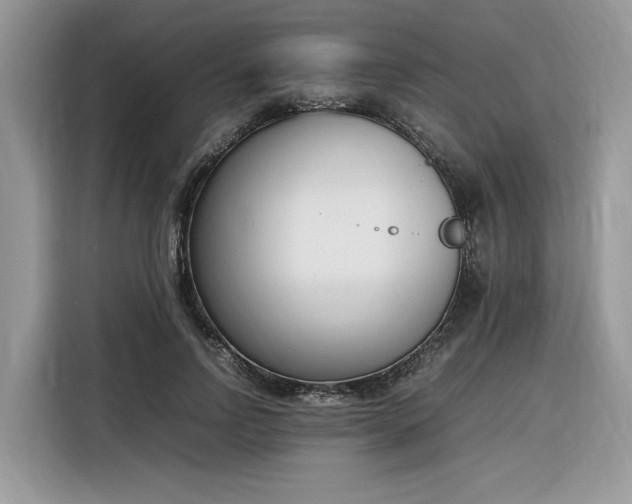 X0000116290742200912071210