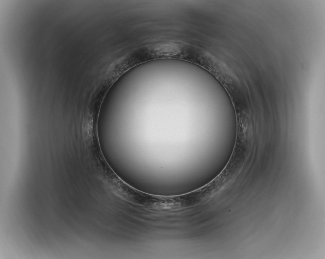 X0000116290745200912071210