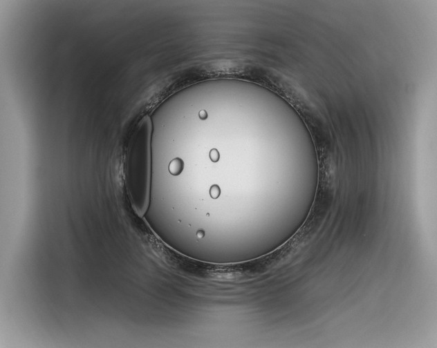 X0000116290746200912071210